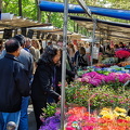 Flower market at Marché Président Wilson